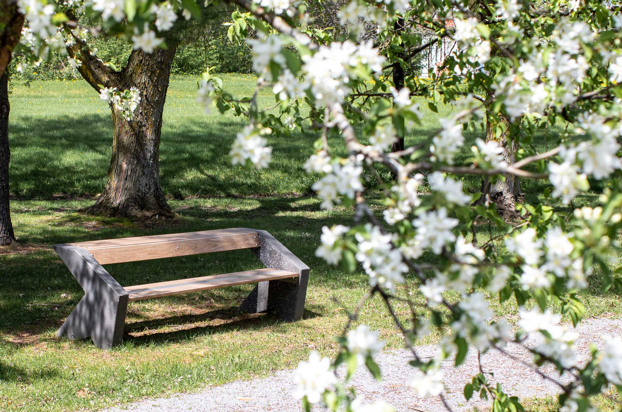 Banc Ergo | Patio Drummond | Béton préfabriqué écologique